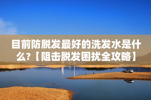 目前防脱发最好的洗发水是什么?【阻击脱发困扰全攻略】