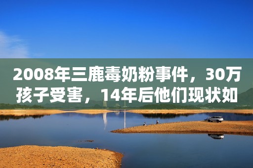 2008年三鹿毒奶粉事件，30万孩子受害，14年后他们现状如何？