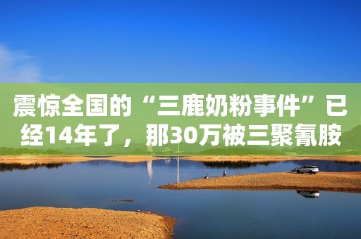 震惊全国的“三鹿奶粉事件”已经14年了，那30万被三聚氰胺毒害的“大头娃娃”怎么样了？