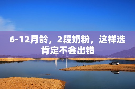 6-12月龄，2段奶粉，这样选肯定不会出错