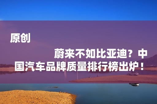 原创
                蔚来不如比亚迪？中国汽车品牌质量排行榜出炉！