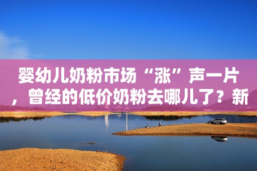 婴幼儿奶粉市场“涨”声一片，曾经的低价奶粉去哪儿了？新京报2019-12-19 15:39