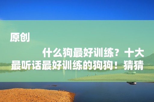 原创
            什么狗最好训练？十大最听话最好训练的狗狗！猜猜有哪些？