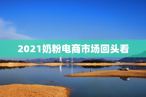 2021奶粉电商市场回头看