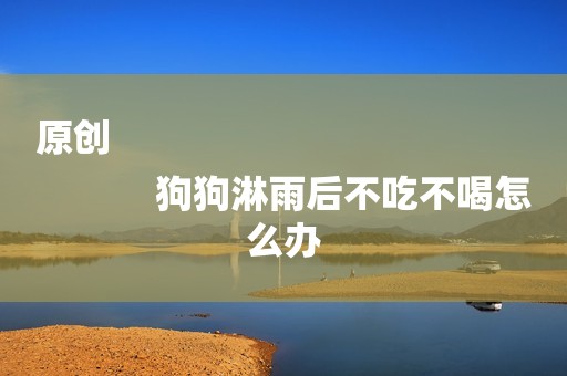 原创
            狗狗淋雨后不吃不喝怎么办