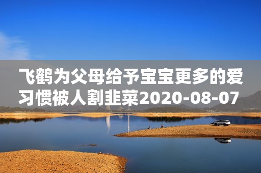 飞鹤为父母给予宝宝更多的爱习惯被人割韭菜2020-08-07 17:36习惯被人割韭菜2020-08-07 17:36