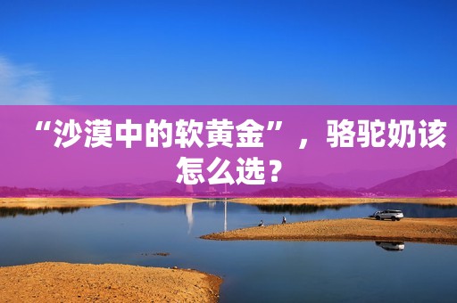 “沙漠中的软黄金”，骆驼奶该怎么选？