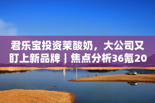 君乐宝投资茉酸奶，大公司又盯上新品牌｜焦点分析36氪2023-11-12 13:0936氪2023-11-12 13:09