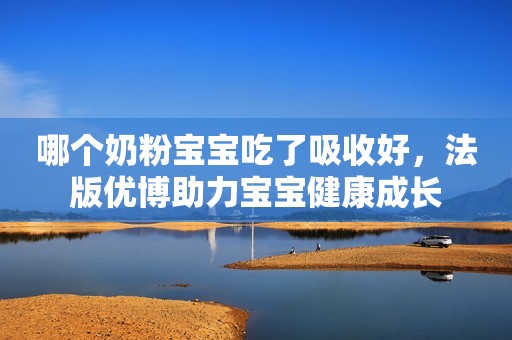 哪个奶粉宝宝吃了吸收好，法版优博助力宝宝健康成长