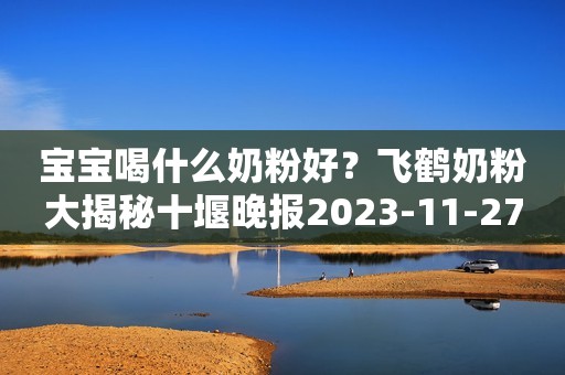 宝宝喝什么奶粉好？飞鹤奶粉大揭秘十堰晚报2023-11-27 17:34十堰晚报2023-11-27 17:34