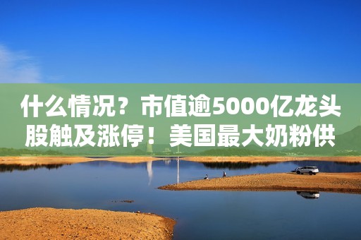 什么情况？市值逾5000亿龙头股触及涨停！美国最大奶粉供应商，再次被调查！涉及婴儿配方奶粉……证券时报2023-02-20 12:48证券时报2023-02-20 12:48