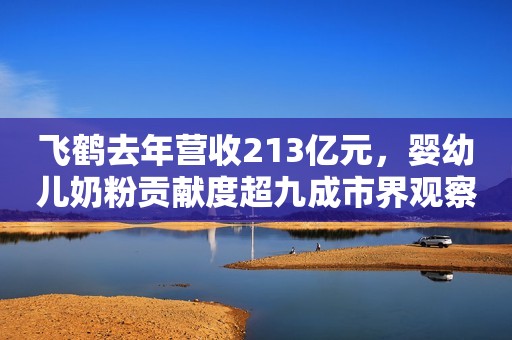 飞鹤去年营收213亿元，婴幼儿奶粉贡献度超九成市界观察2023-03-29 10:50北京市界观察2023-03-29 10:50北京