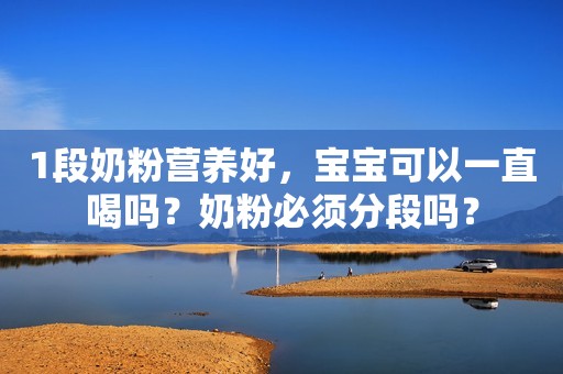 1段奶粉营养好，宝宝可以一直喝吗？奶粉必须分段吗？