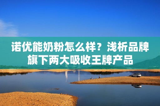 诺优能奶粉怎么样？浅析品牌旗下两大吸收王牌产品