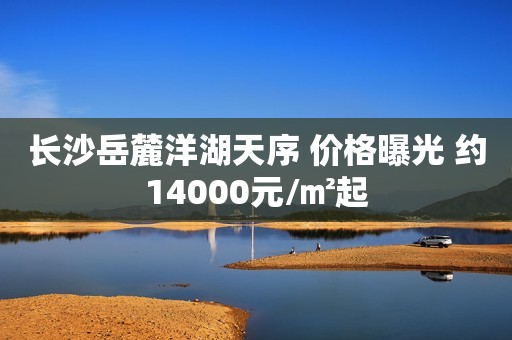 长沙岳麓洋湖天序 价格曝光 约14000元/㎡起