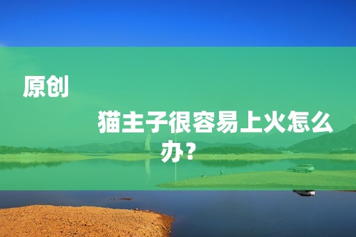 原创
            猫主子很容易上火怎么办？