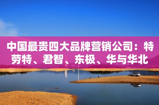 中国最贵四大品牌营销公司：特劳特、君智、东极、华与华北青网2022-11-23 12:12北京北青网2022-11-23 12:12北京