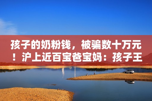 孩子的奶粉钱，被骗数十万元！沪上近百宝爸宝妈：孩子王雅培专柜，闹哪样新民晚报2023-01-18 18:16新民晚报2023-01-18 18:16