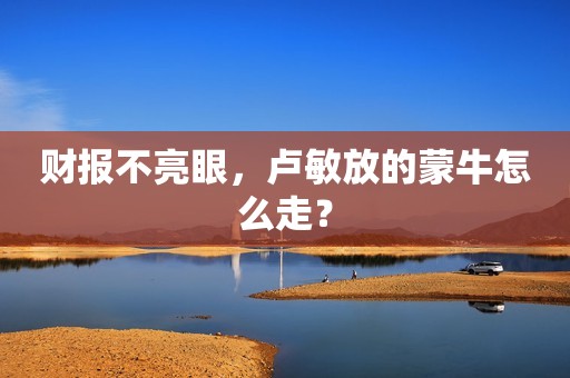 财报不亮眼，卢敏放的蒙牛怎么走？