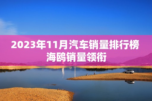 2023年11月汽车销量排行榜 海鸥销量领衔