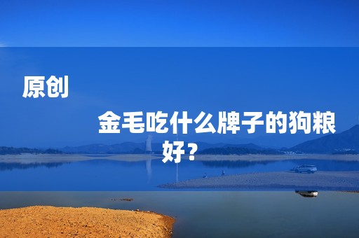 原创
            金毛吃什么牌子的狗粮好？