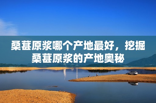 桑葚原浆哪个产地最好，挖掘桑葚原浆的产地奥秘