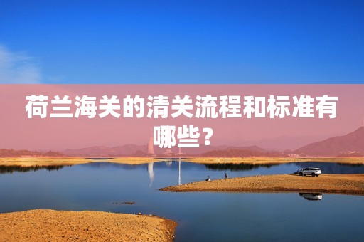 荷兰海关的清关流程和标准有哪些？