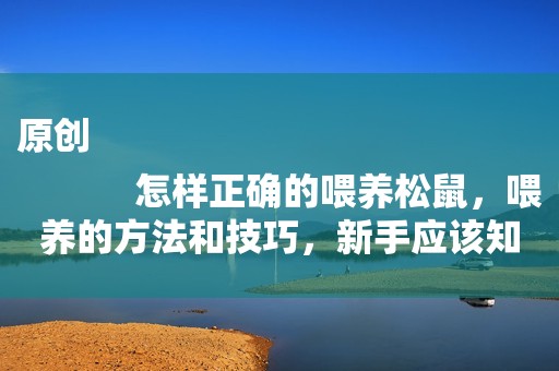 原创
            怎样正确的喂养松鼠，喂养的方法和技巧，新手应该知道的