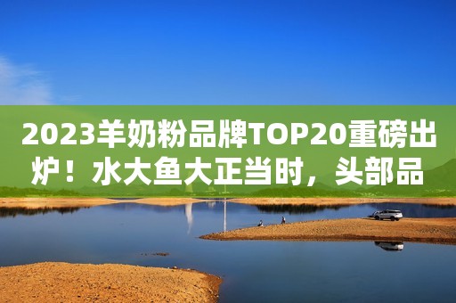 2023羊奶粉品牌TOP20重磅出炉！水大鱼大正当时，头部品牌加速攻占市场