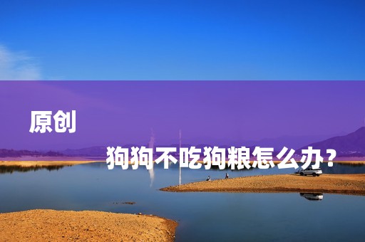 原创
            狗狗不吃狗粮怎么办？