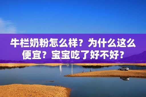 牛栏奶粉怎么样？为什么这么便宜？宝宝吃了好不好？