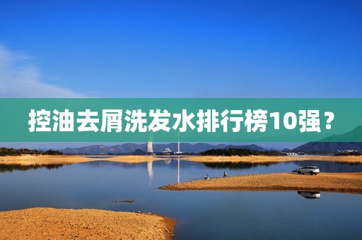 控油去屑洗发水排行榜10强？