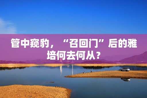 管中窥豹，“召回门”后的雅培何去何从？