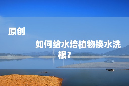 原创
            如何给水培植物换水洗根？