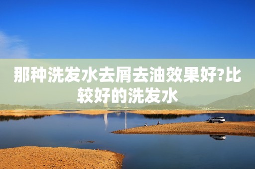 那种洗发水去屑去油效果好?比较好的洗发水