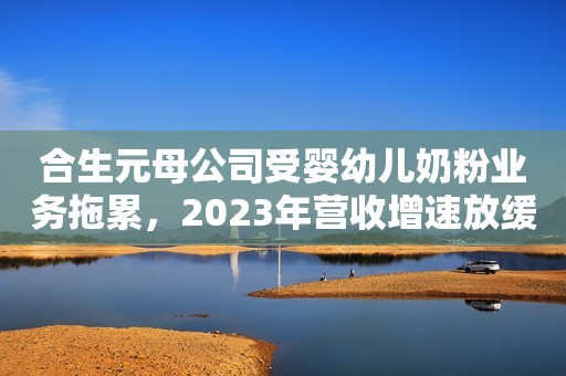 合生元母公司受婴幼儿奶粉业务拖累，2023年营收增速放缓