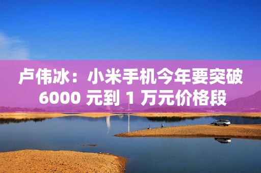 卢伟冰：小米手机今年要突破 6000 元到 1 万元价格段