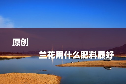 原创
            兰花用什么肥料最好