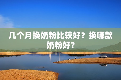 几个月换奶粉比较好？换哪款奶粉好？