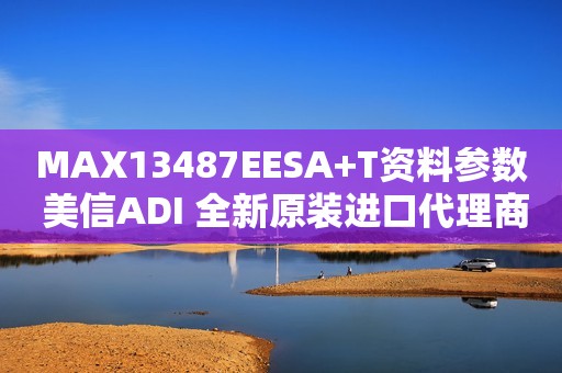 MAX13487EESA+T资料参数 美信ADI 全新原装进口代理商S-422 RS-485接口IC