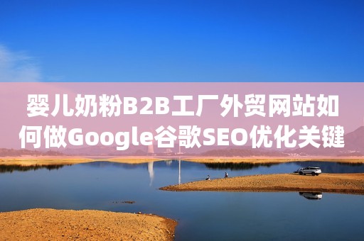 婴儿奶粉B2B工厂外贸网站如何做Google谷歌SEO优化关键字排名？