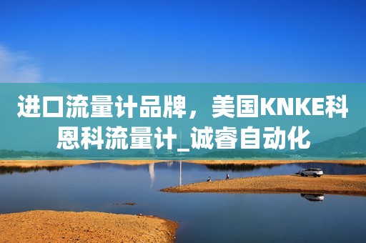 进口流量计品牌，美国KNKE科恩科流量计_诚睿自动化