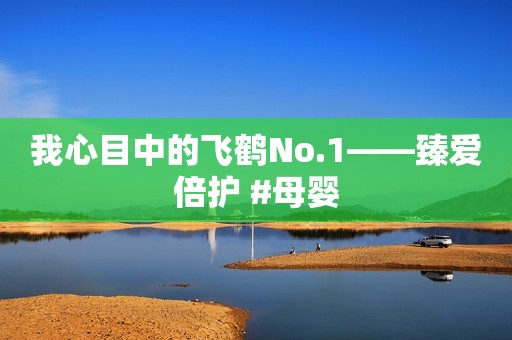 我心目中的飞鹤No.1——臻爱倍护 #母婴