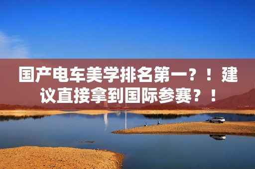 国产电车美学排名第一？！建议直接拿到国际参赛？！