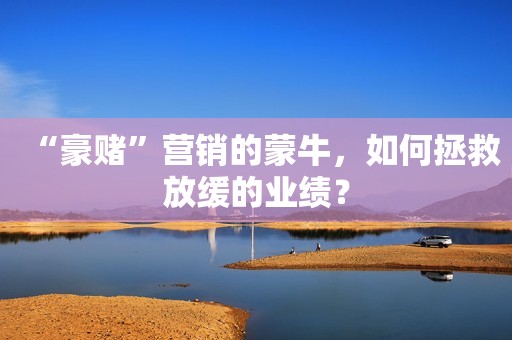 “豪赌”营销的蒙牛，如何拯救放缓的业绩？