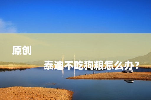 原创
            泰迪不吃狗粮怎么办？