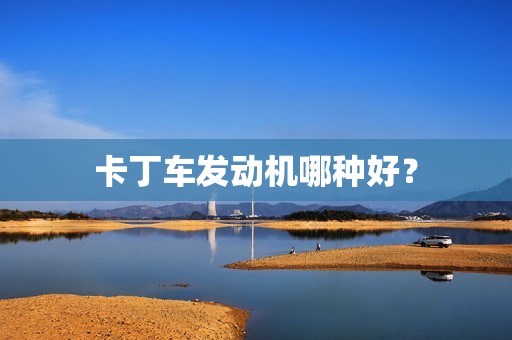 卡丁车发动机哪种好？