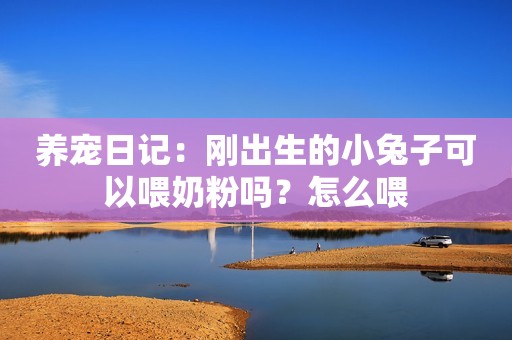 养宠日记：刚出生的小兔子可以喂奶粉吗？怎么喂