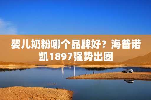 婴儿奶粉哪个品牌好？海普诺凯1897强势出圈