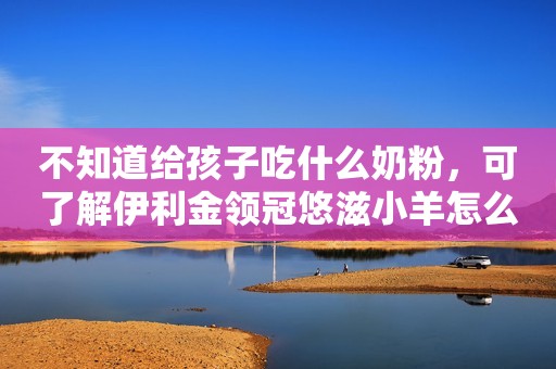 不知道给孩子吃什么奶粉，可了解伊利金领冠悠滋小羊怎么样？